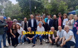 Geleneksel Çamlık Buluşmaları