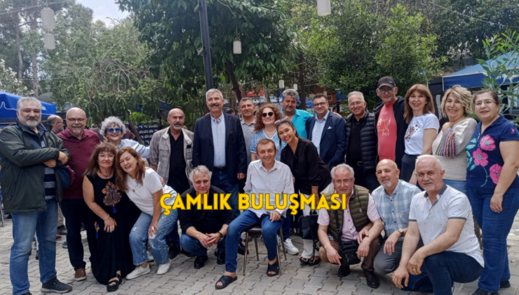 Geleneksel Çamlık Buluşmaları