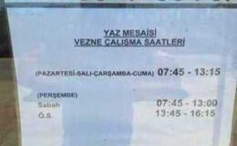 MESAİDE GÜNEY’E KAÇAMAK: “HANGİ İZİNLE, KİMİN PARASIYLA?